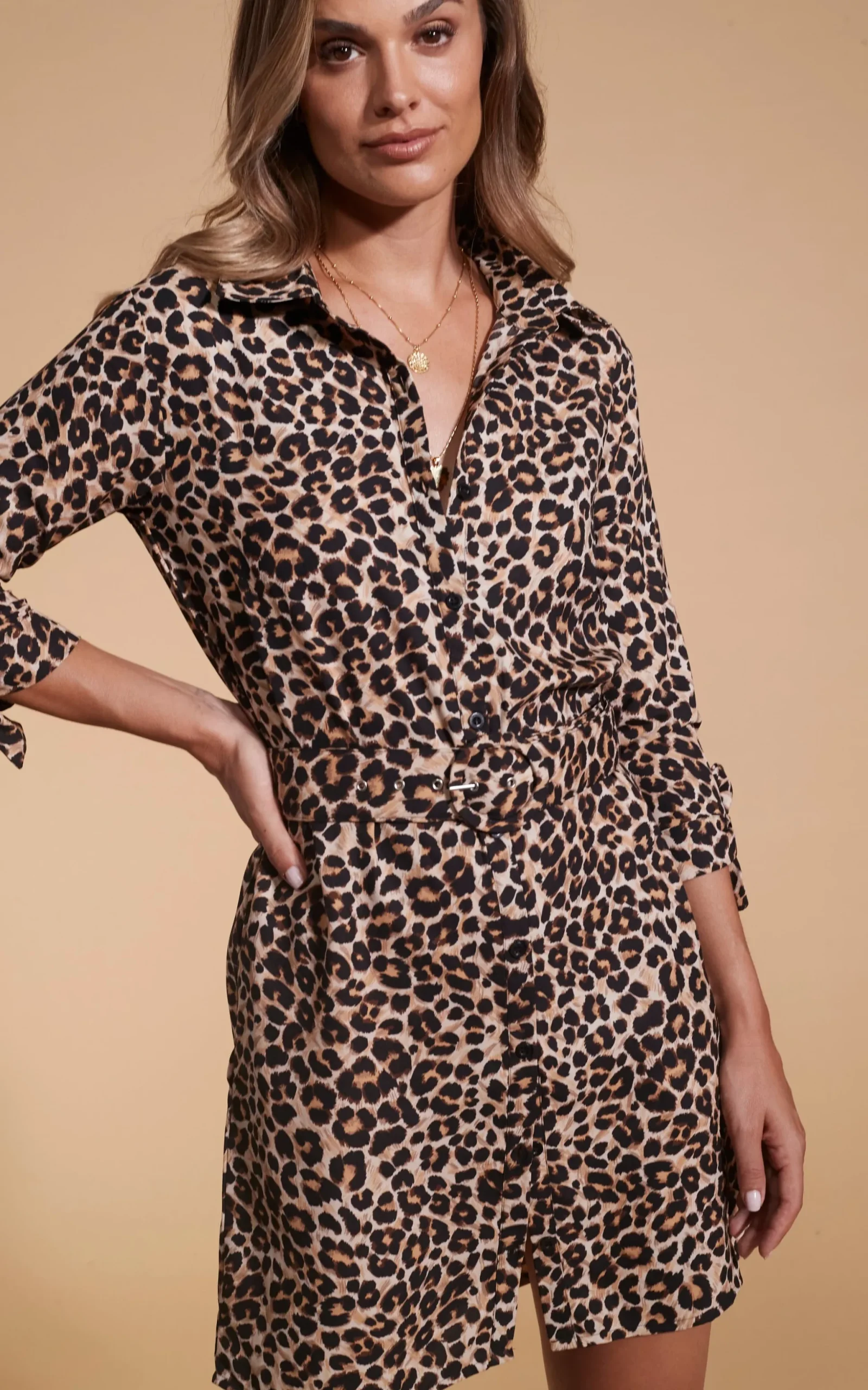 Jonah Mini Shirt Dress In Rich Leopard